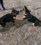 ВК Арагон и Атаман